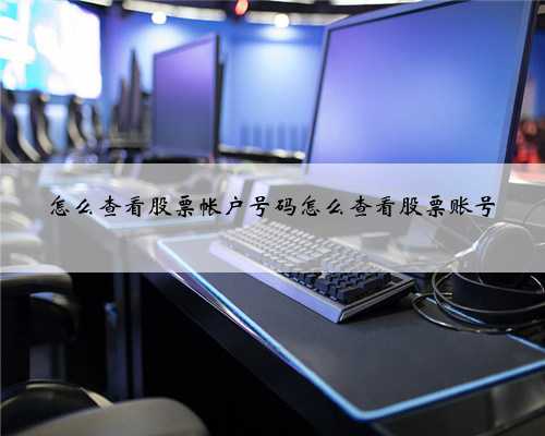 怎么查看股票帐户号码怎么查看股票账号