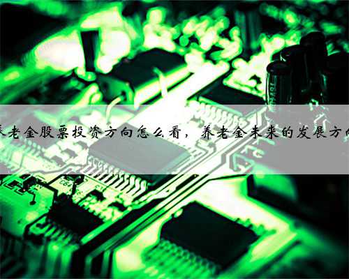 养老金股票投资方向怎么看，养老金未来的发展方向
