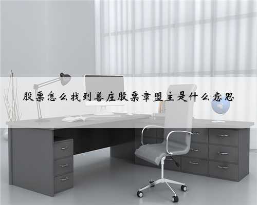 股票怎么找到善庄股票章盟主是什么意思