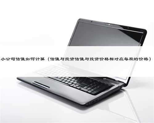 小公司估值如何计算（估值与投资估值与投资价格相对应每股的价格）