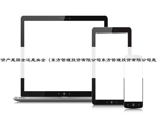 中国东方资产是国企还是央企（东方管理投资有限公司东方管理投资有限公司是
