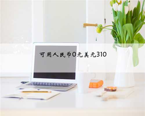 可用人民币0元美元310