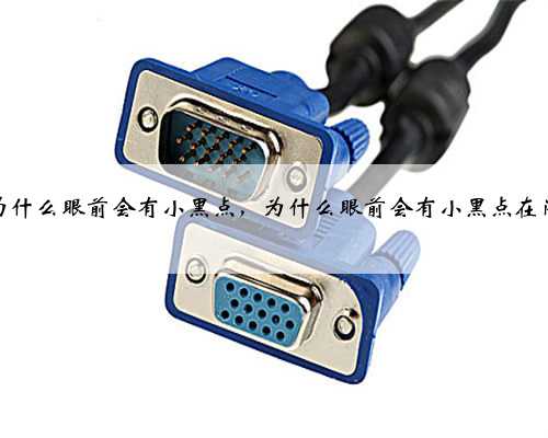 为什么眼前会有小黑点，为什么眼前会有小黑点在闪