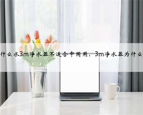 为什么水3m净水器不适合中国用，3m净水器为什么贵